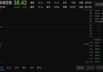 新城控股开盘跌停的原因是什么，具体什么情况?