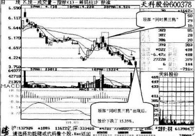 什么是同时黑三鸦，有什么形态特征?