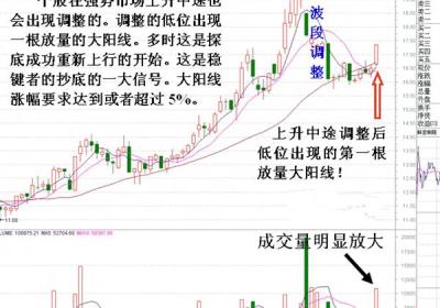 牛市选股思路分析