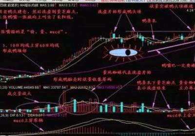 股票跟庄行动，牛散是如何跟庄吃肉的？