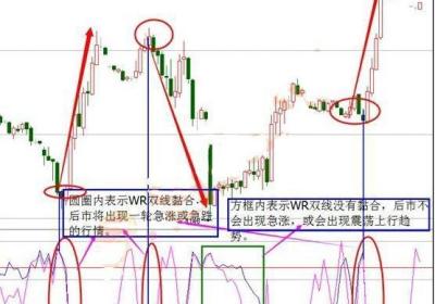 威廉指标的实战应用技巧，威廉指标怎么用？