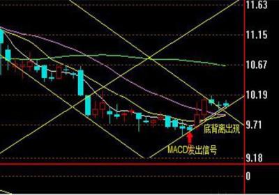 为什么说会止损就是赢家?止损的技巧有哪些？