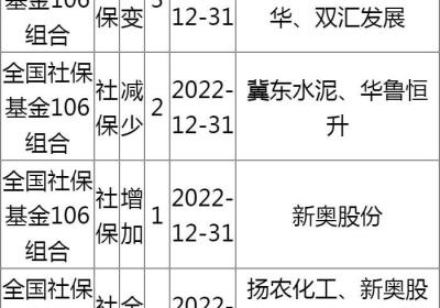 全国社保基金一零六组合长期重仓股票有哪些？重仓股票前十哪些？(全国社保基金一零二组合持股)